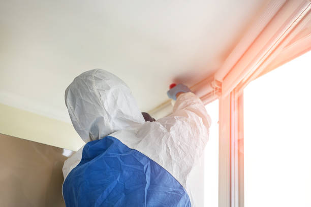 Mold Odor Removal Services in Fox Point, WI